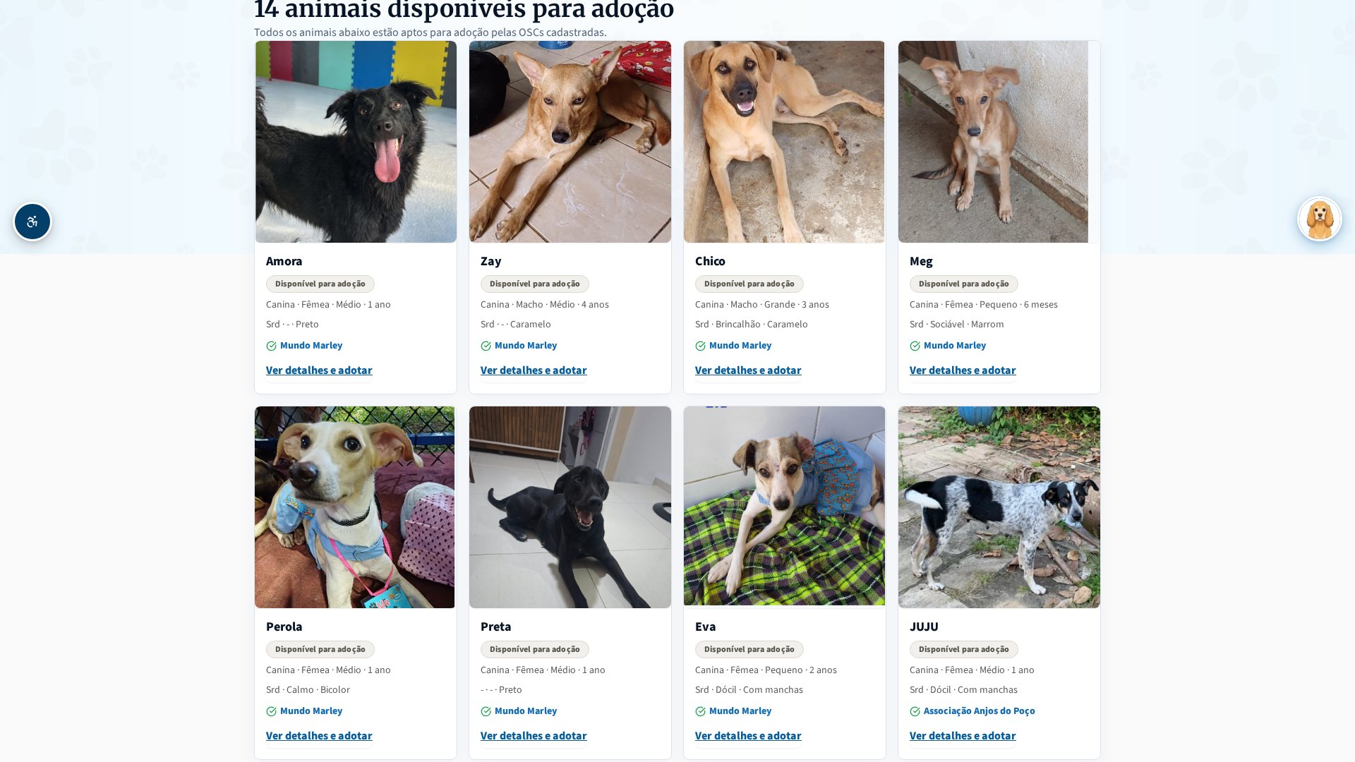 Lista de animais com filtros de busca